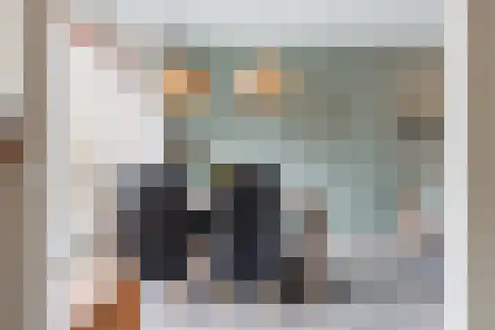 Zuidenveldstraat 19 Sleen thumbnail 14