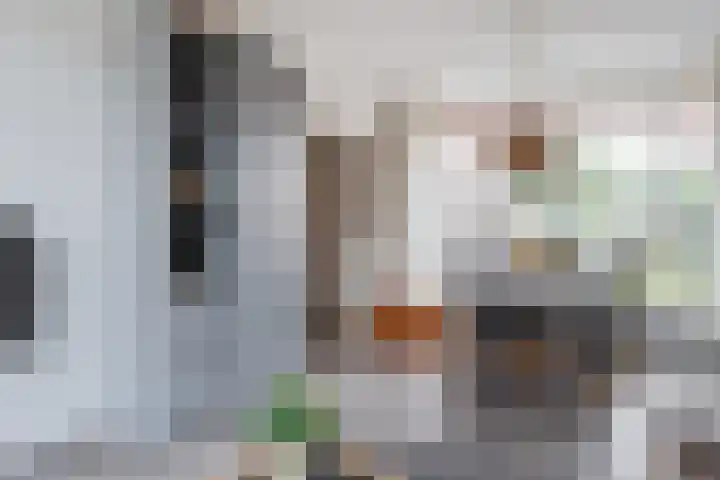 Zuidenveldstraat 19 Sleen thumbnail 17