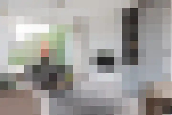 Zuidenveldstraat 19 Sleen thumbnail 18