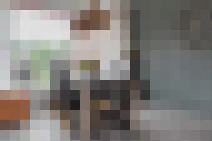 Zuidenveldstraat 19 Sleen thumbnail 21
