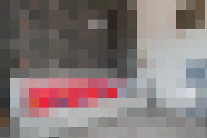 Zuidenveldstraat 19 Sleen thumbnail 27