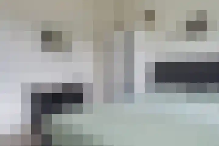 Zuidenveldstraat 19 Sleen thumbnail 31