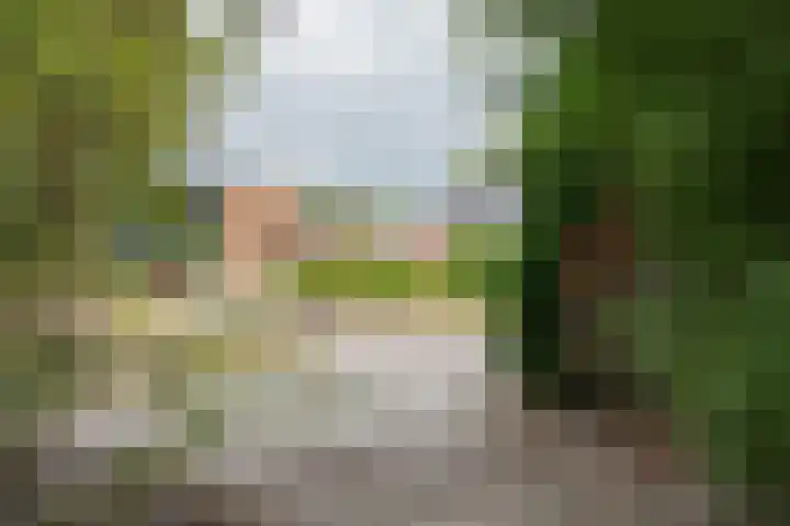Zuidenveldstraat 19 Sleen thumbnail 4