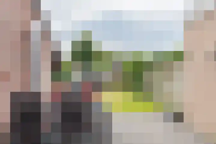 Zuidenveldstraat 19 Sleen thumbnail 40