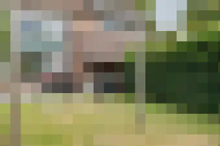 Zuidenveldstraat 19 Sleen thumbnail 44