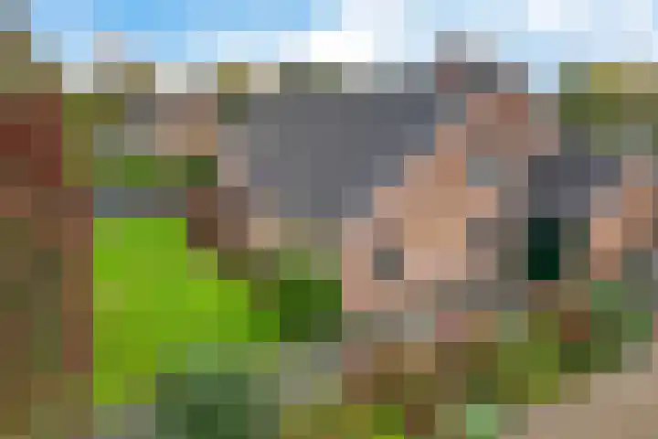 Zuidenveldstraat 25 Sleen thumbnail 10