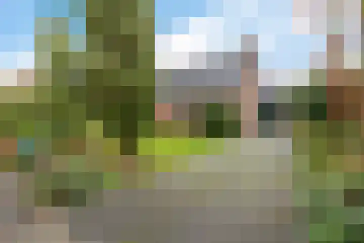 Zuidenveldstraat 25 Sleen thumbnail 11