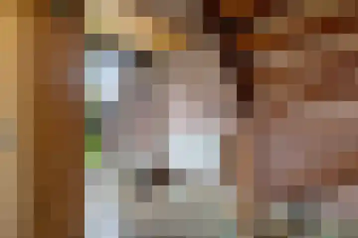 Zuidenveldstraat 25 Sleen thumbnail 13
