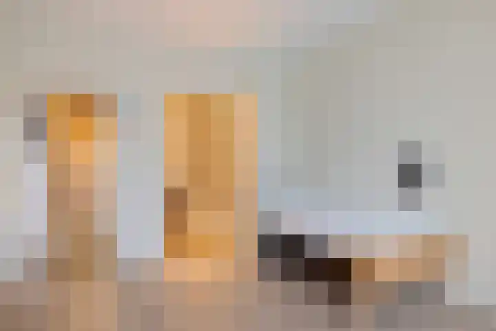 Zuidenveldstraat 25 Sleen thumbnail 15