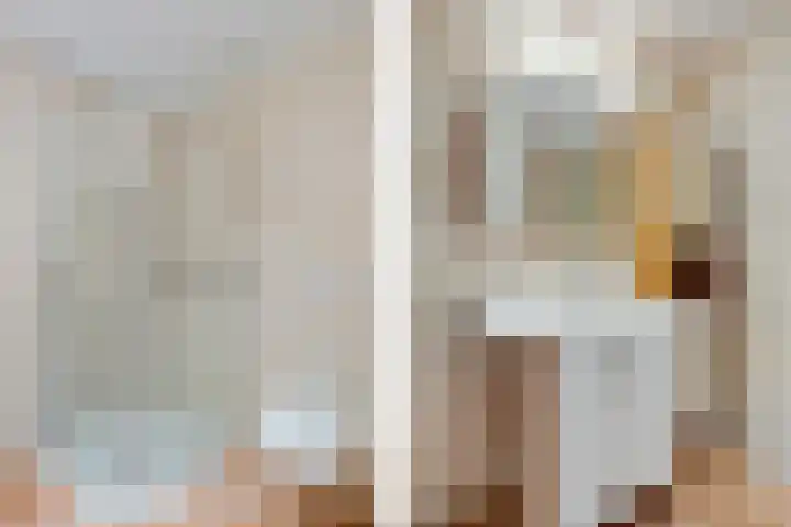 Zuidenveldstraat 25 Sleen thumbnail 17
