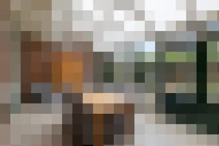 Zuidenveldstraat 25 Sleen thumbnail 21