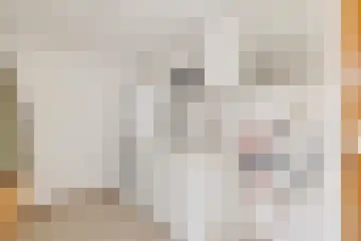 Zuidenveldstraat 25 Sleen thumbnail 24