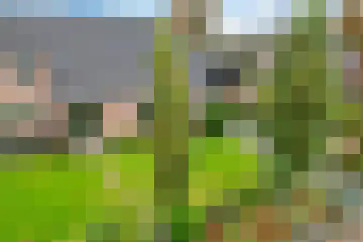 Zuidenveldstraat 25 Sleen thumbnail 6