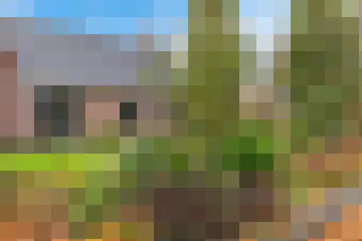 Zuidenveldstraat 25 Sleen thumbnail 7