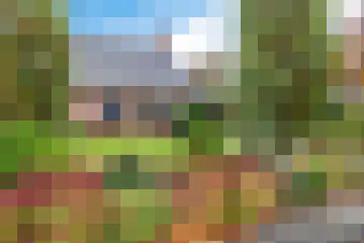 Zuidenveldstraat 25 Sleen thumbnail 8