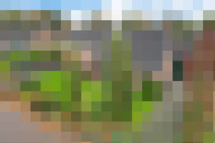 Zuidenveldstraat 25 Sleen thumbnail 9