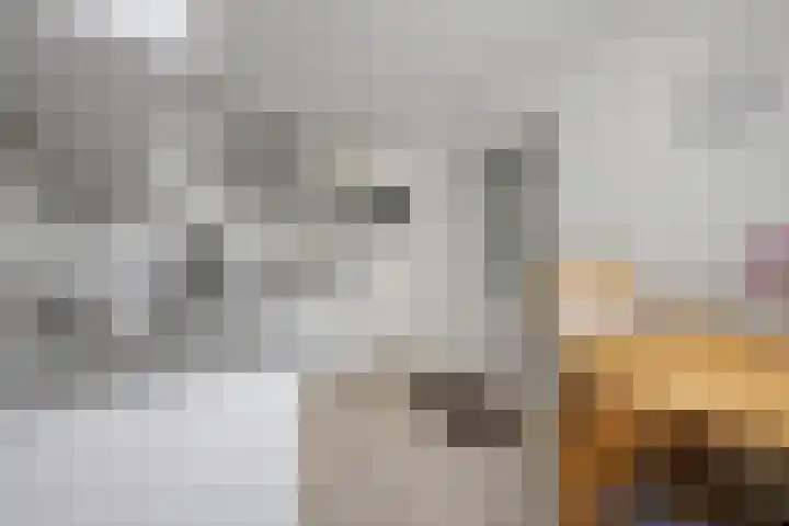 Zuidenveldstraat 5 Sleen thumbnail 12
