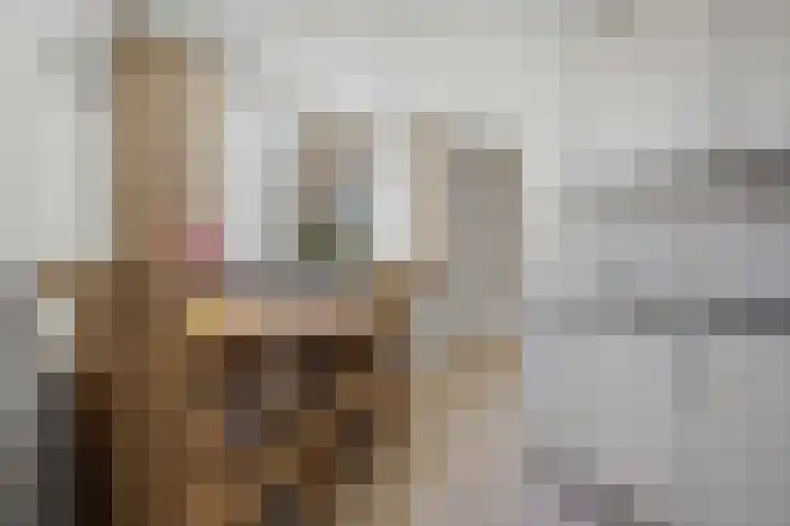 Zuidenveldstraat 5 Sleen thumbnail 13