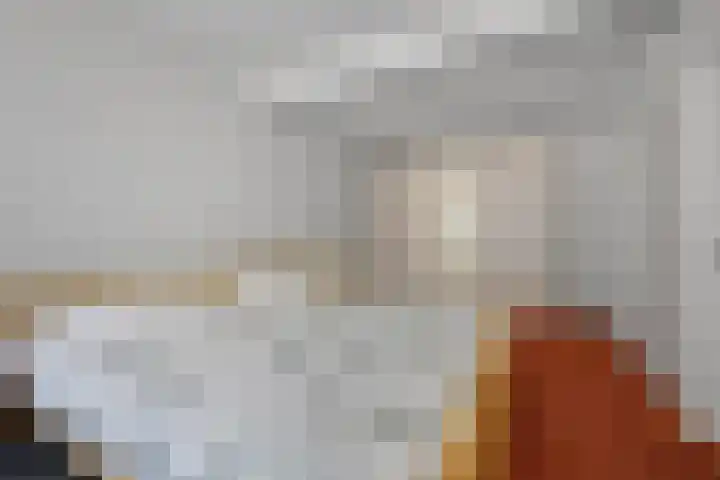 Zuidenveldstraat 5 Sleen thumbnail 22