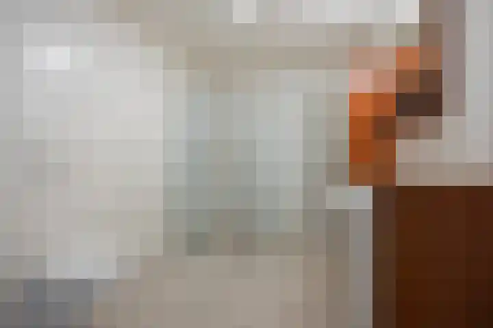 Zuidenveldstraat 5 Sleen thumbnail 23