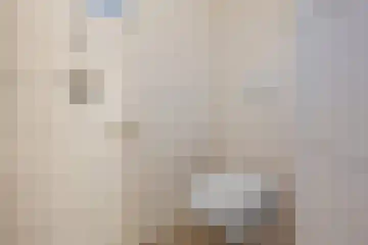 Zuidenveldstraat 5 Sleen thumbnail 27