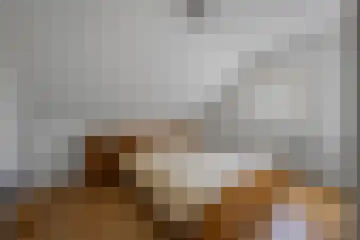 Zuidenveldstraat 5 Sleen thumbnail 31