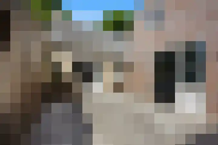 Zuidenveldstraat 5 Sleen thumbnail 37