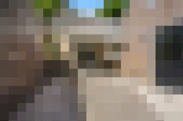 Zuidenveldstraat 5 Sleen thumbnail 38