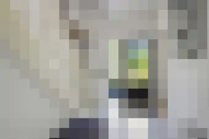 Zuidenveldstraat 5 Sleen thumbnail 4