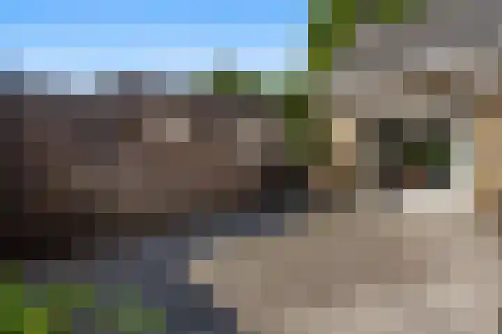 Zuidenveldstraat 5 Sleen thumbnail 40