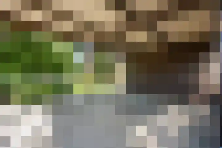 Zuidenveldstraat 5 Sleen thumbnail 42