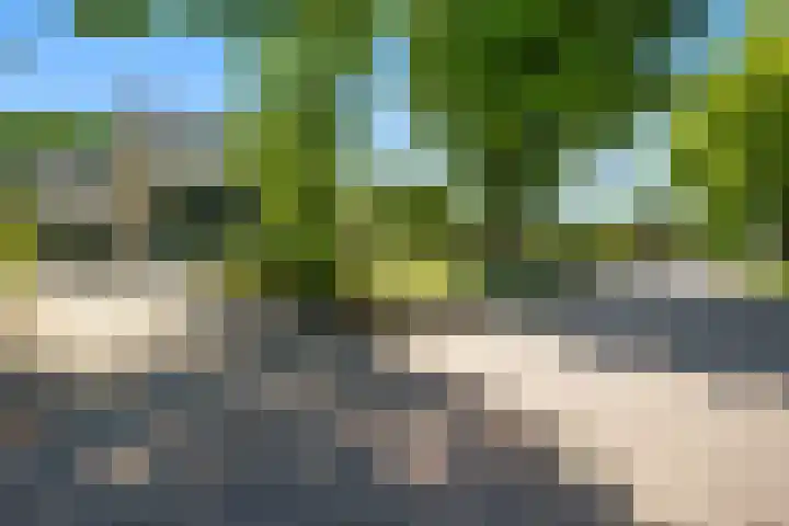 Zuidenveldstraat 5 Sleen thumbnail 45