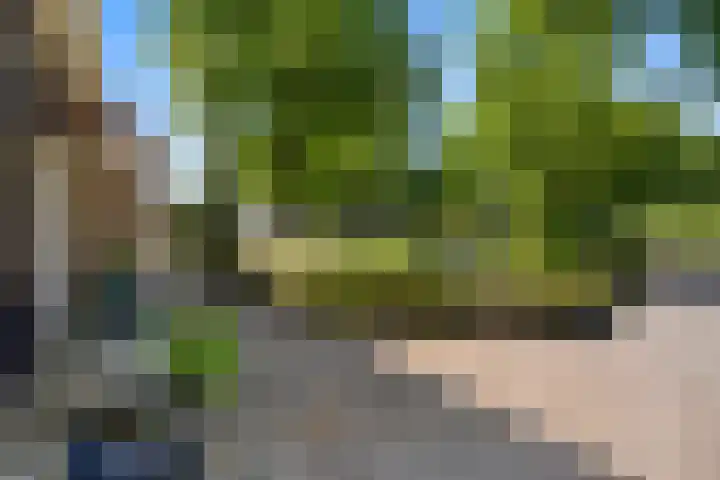 Zuidenveldstraat 5 Sleen thumbnail 47