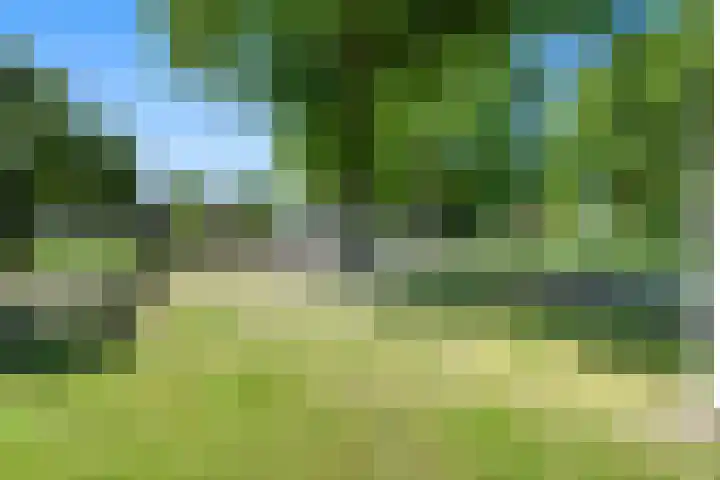 Zuidenveldstraat 5 Sleen thumbnail 48