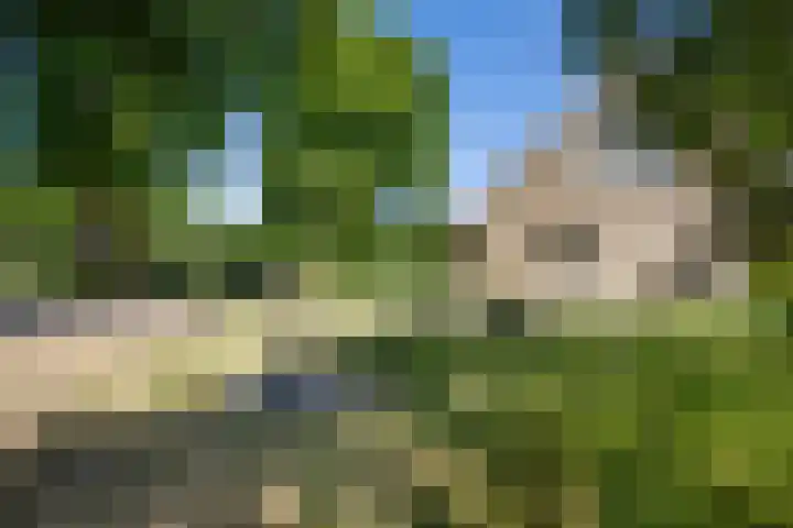 Zuidenveldstraat 5 Sleen thumbnail 49