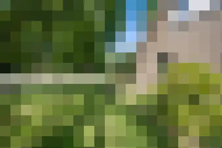 Zuidenveldstraat 5 Sleen thumbnail 50