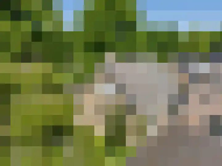 Zuidenveldstraat 5 Sleen thumbnail 51