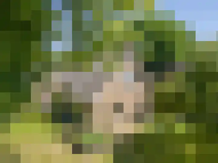 Zuidenveldstraat 5 Sleen thumbnail 57