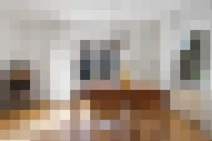 Zuidenveldstraat 5 Sleen thumbnail 7