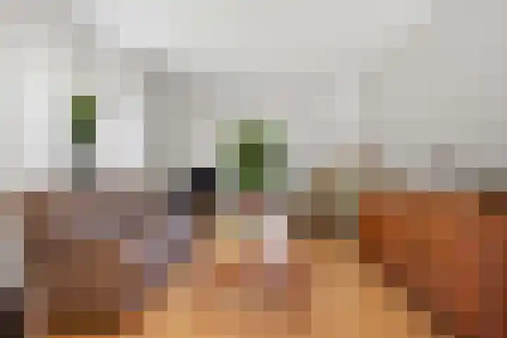 Zuidenveldstraat 5 Sleen thumbnail 8