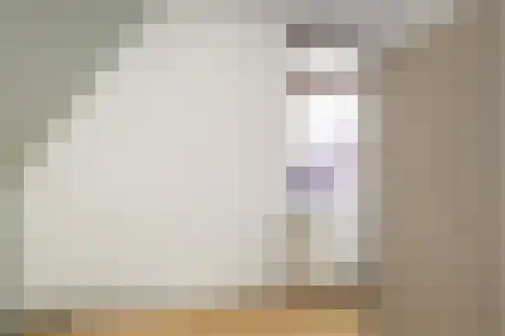 Zuidenweg 10 Dwingeloo thumbnail 11
