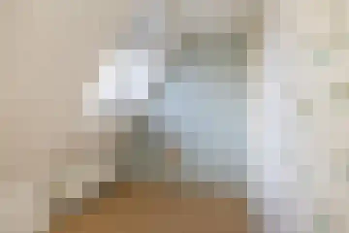 Zuidenweg 10 Dwingeloo thumbnail 13