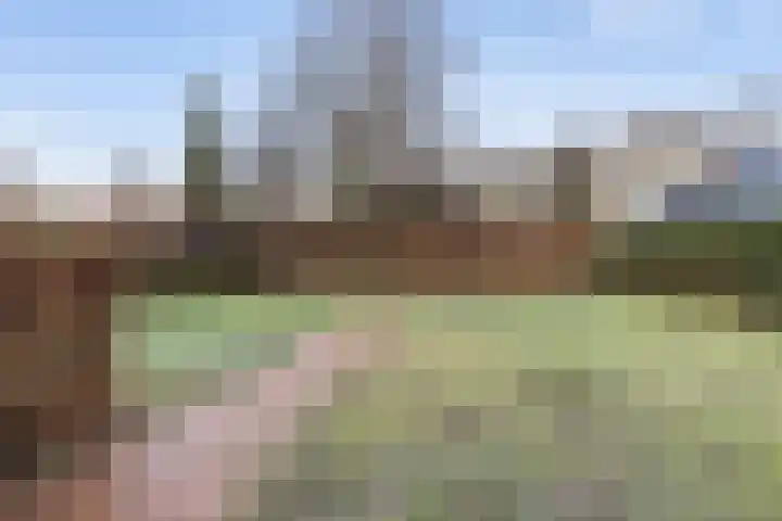 Zuidenweg 10 Dwingeloo thumbnail 14