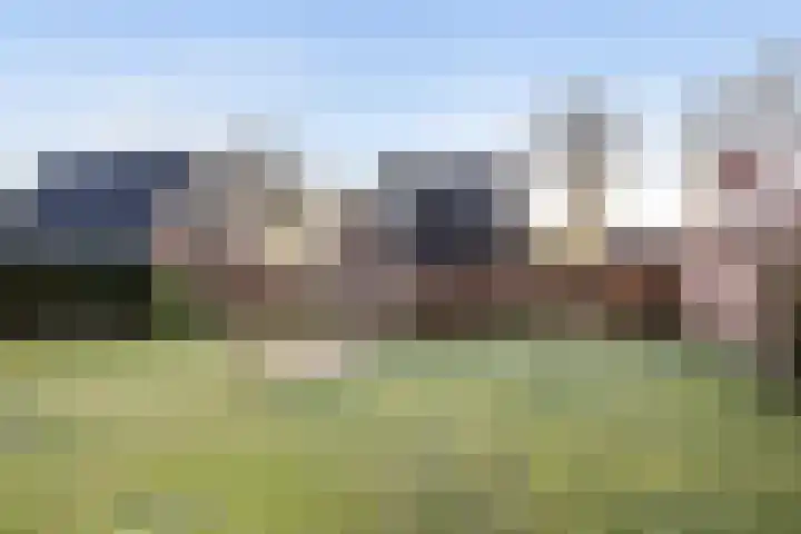 Zuidenweg 10 Dwingeloo thumbnail 15