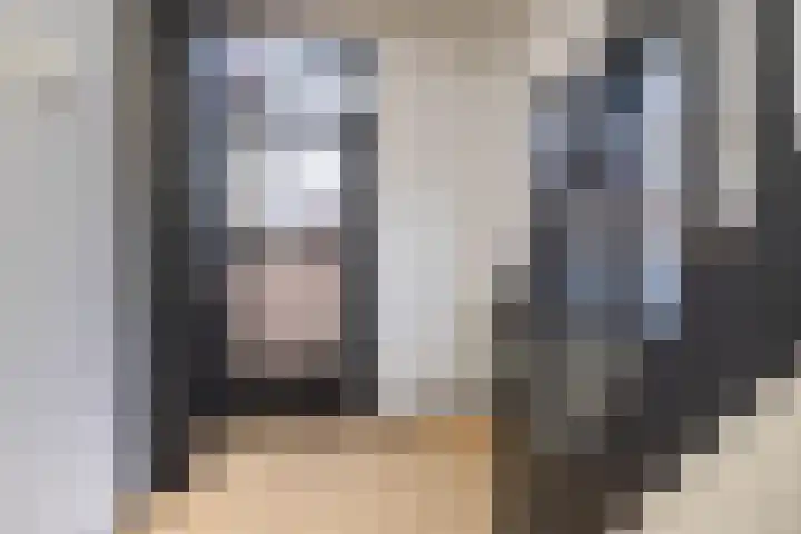 Zuidenweg 10 Dwingeloo thumbnail 4