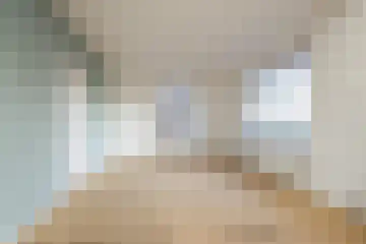 Zuidenweg 10 Dwingeloo thumbnail 5