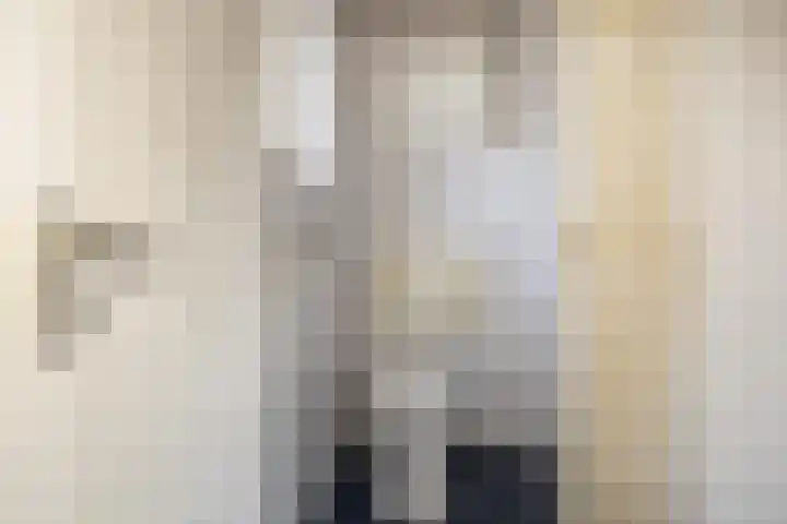 Zuidenweg 10 Dwingeloo thumbnail 9