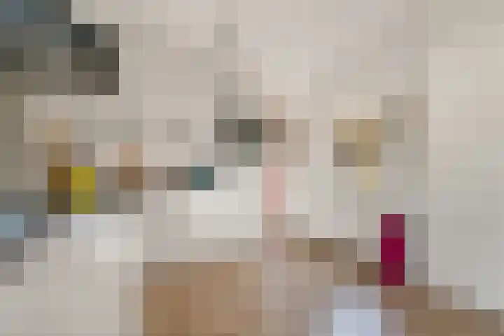 Zuidenweg 5 Dwingeloo thumbnail 12