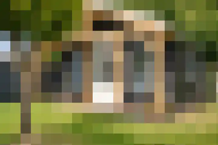Zuidenweg 5 Dwingeloo thumbnail 25