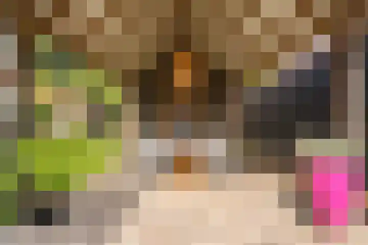 Zuidenweg 5 Dwingeloo thumbnail 31